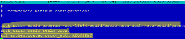 enable basic auth in squid