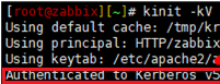 kinit check kerberos authentication