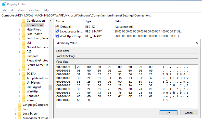 WinHttpSettings registry parameter